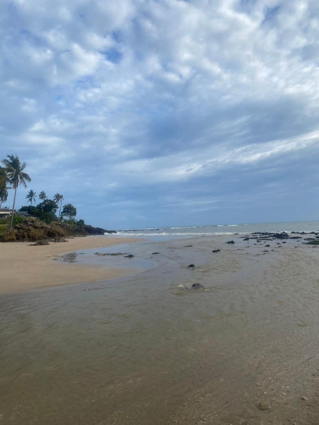Arya Bungalow Ko Lanta Exteriör bild
